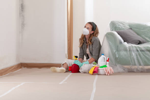 Reliable Black Mold Removal contractor in Hallwood, VA by WQB Mold Removal